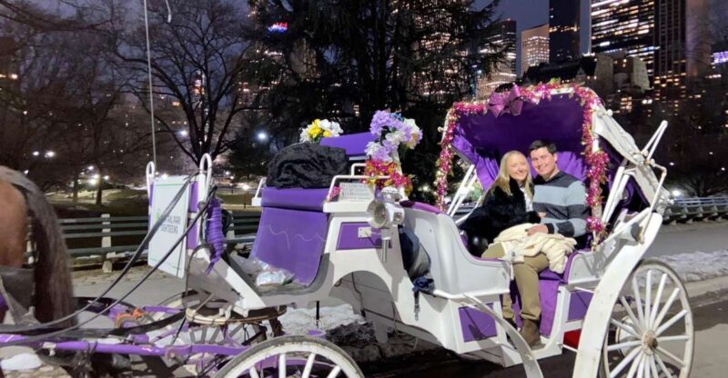 NYC: Private Christmas Lights Horse Carriage Ride - Why This Tour Works Well for Travelers