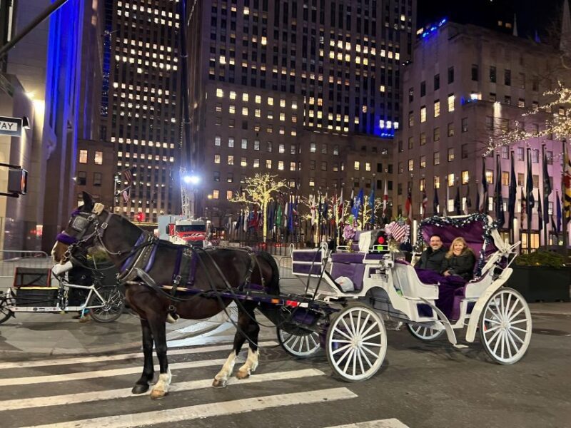 NYC: Private Christmas Lights Horse Carriage Ride - Practical Tips