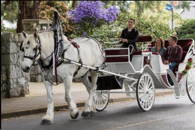 NYC: Private Christmas Lights Horse Carriage Ride - The Sum Up