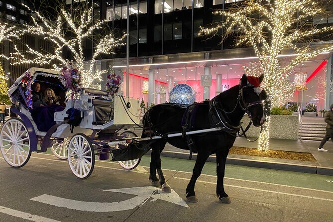 NYC Rockefeller Center Christmas Lights Horse Carriage Ride - Key Points