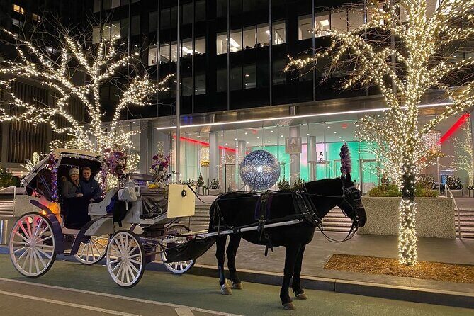 NYC Rockefeller Center Christmas Lights Horse Carriage Ride - FAQ