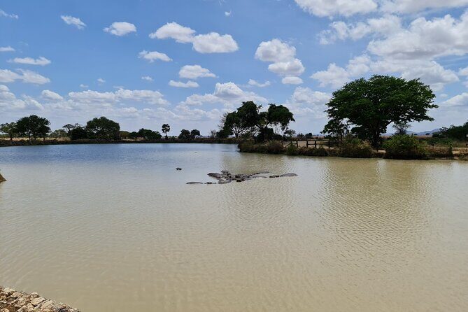 Nyerere Game Reserve: Boat Safari on the Rufiji River - Practical Information