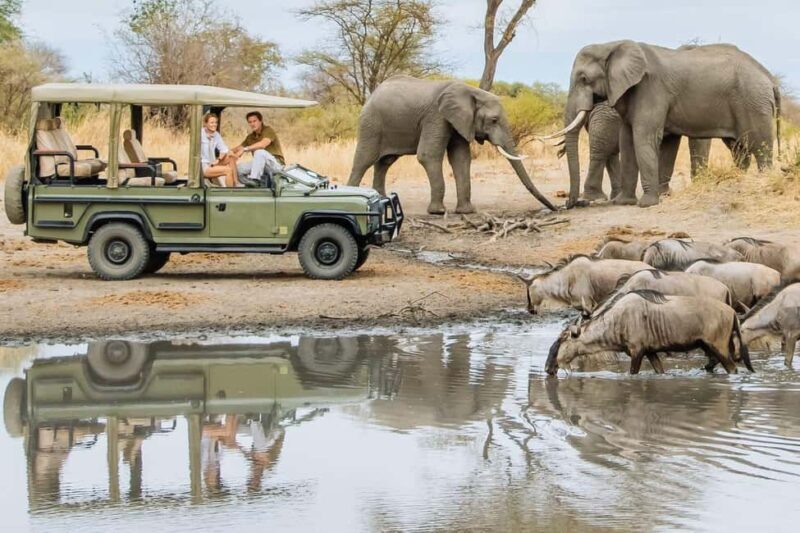 Nyerere National Park: 2-Day Safari Adventure - An In-Depth Look at the Nyerere 2-Day Safari Experience