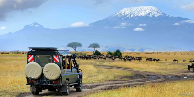 Nyerere National Park: 2-Day Safari Adventure - What Sets This Safari Apart?