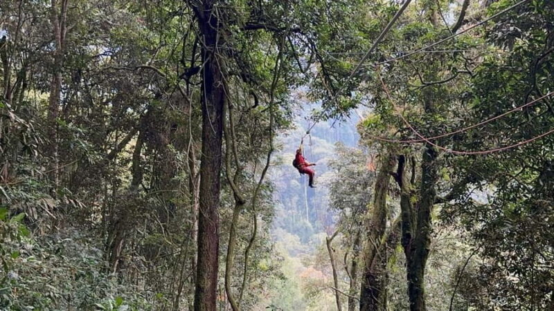 Nyungwe Forest: Zipline Adventure and Canopy Walkway - Key Points