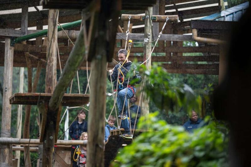 Nyungwe Forest: Zipline Adventure and Canopy Walkway - The Canopy Walk: Walking Among the Giants
