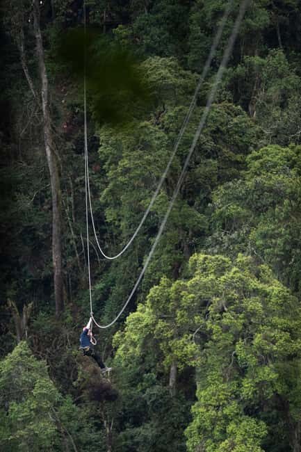 Nyungwe Forest: Zipline Adventure and Canopy Walkway - FAQ