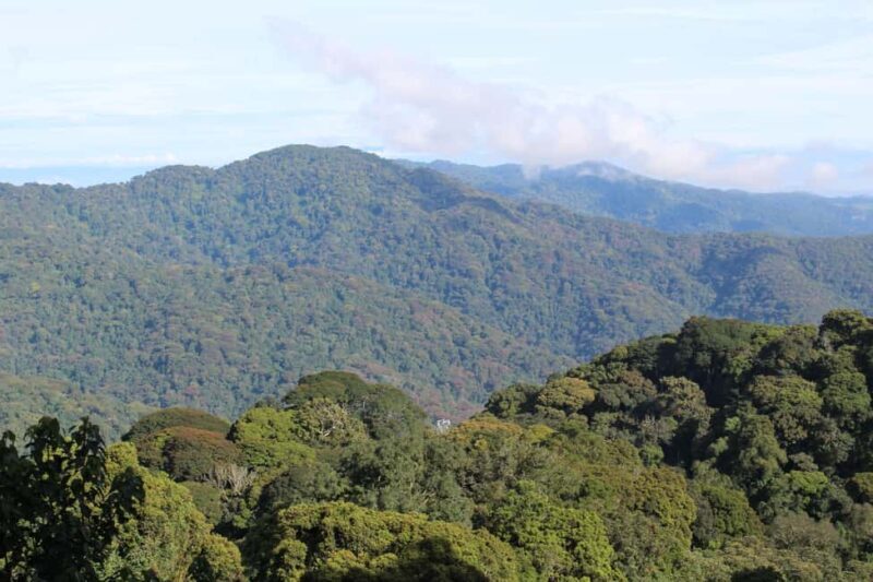 NYUNGWE: Nyungwe National Park Canopy Walk - Key Points
