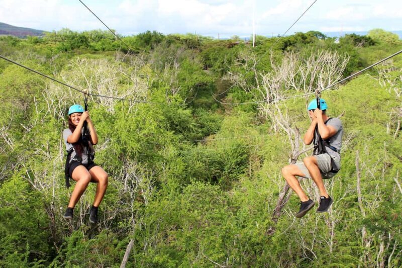 Oahu: 3 Zipline & All Inclusive Dolphin Watch Snorkel Cruise - Key Points