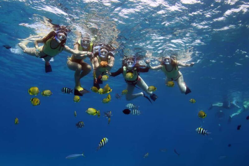 Oahu: 3 Zipline & All Inclusive Dolphin Watch Snorkel Cruise - Final Thoughts: Is It Right for You?