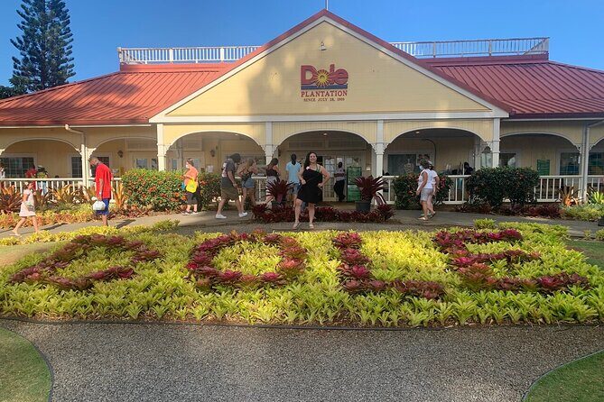 Oahu Allstar Circle Island Tour: Dole, Turtles. Blowhole, Fun - Who Is This Tour Best For?
