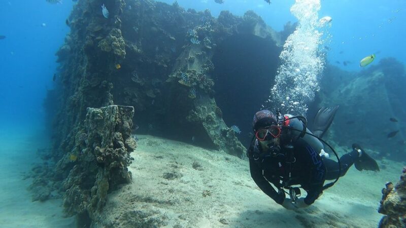 Oahu: Beginner SCUBA Dive at Electric Beach - Gear Up and Skills Session