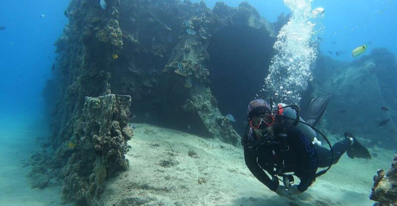 Oahu: Beginner SCUBA Dive at Electric Beach - Capture the Moment: Photos Included