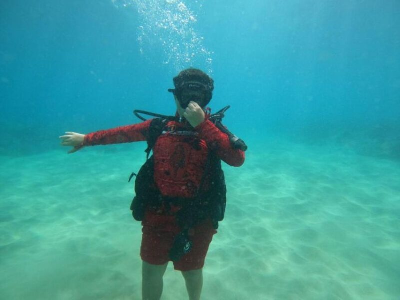 Oahu: Beginner SCUBA Dive at Electric Beach - Important Considerations