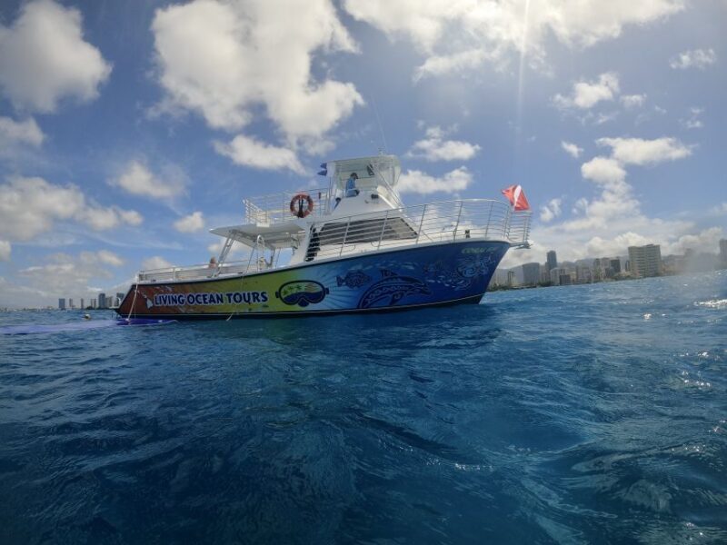 Oahu: BYOB or Cash Bar Waikiki Sunset Cruise - An Authentic Hawaiian Evening: What to Expect