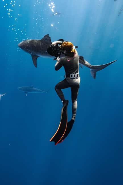 Oahu: Cageless Shark Dive Adventure - Frequently Asked Questions
