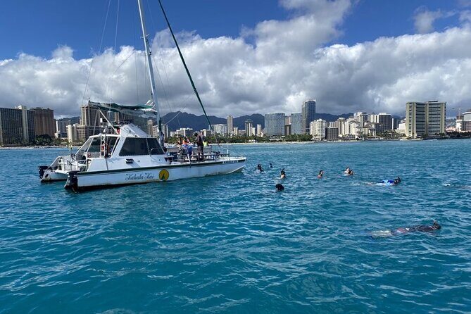 Oahu Catamaran Snorkel Tour: See Turtles 100% Guaranteed - A Practical Overview of the Tour