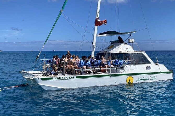 Oahu Catamaran Snorkel Tour: See Turtles 100% Guaranteed - Authentic Feedback from Travelers