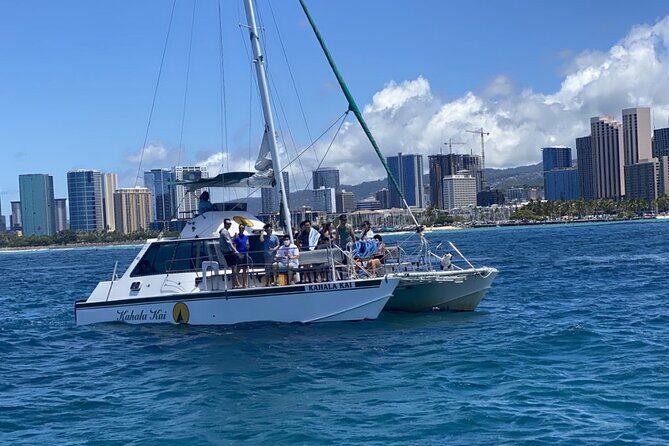 Oahu Catamaran Snorkel Tour: See Turtles 100% Guaranteed - Practical Tips for Your Tour