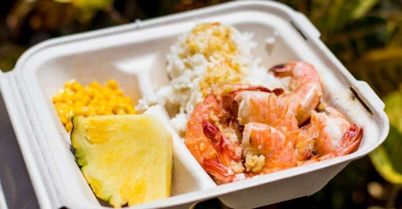 Oahu: Circle Island Day Trip with Shrimp Plate Lunch - A Detailed Look at the Oahu Circle Island Experience