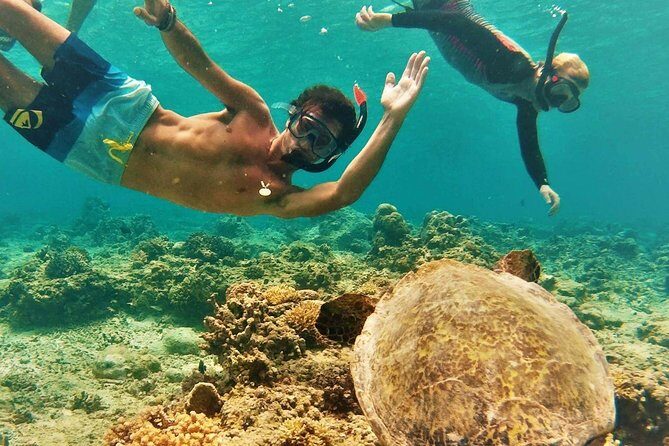 Oahu Circle Island: Snorkel with Turtles & Explore Turtle Beach - Key Points