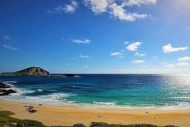 Oahu Circle Island: Snorkel with Turtles & Explore Turtle Beach - Final Thoughts