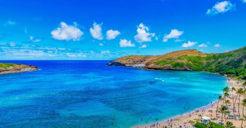 Oahu: Circle Island Top Sights Full-Day Tour w/ Local Guide - Key Points