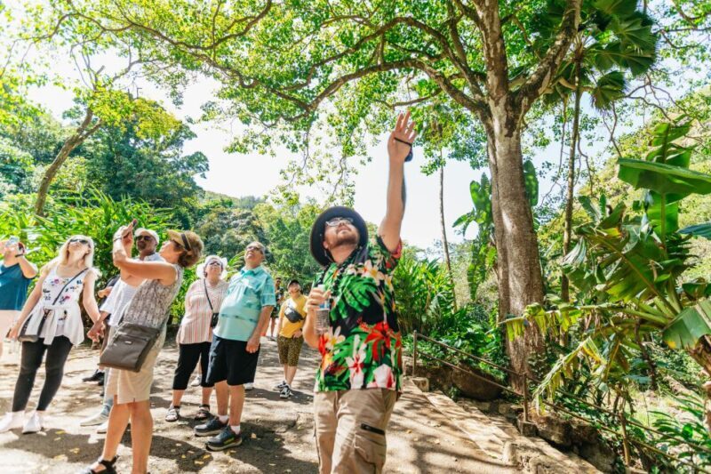 Oahu: Circle Island Tour with Lunch & Waimea Waterfall - Who Should Consider This Tour?