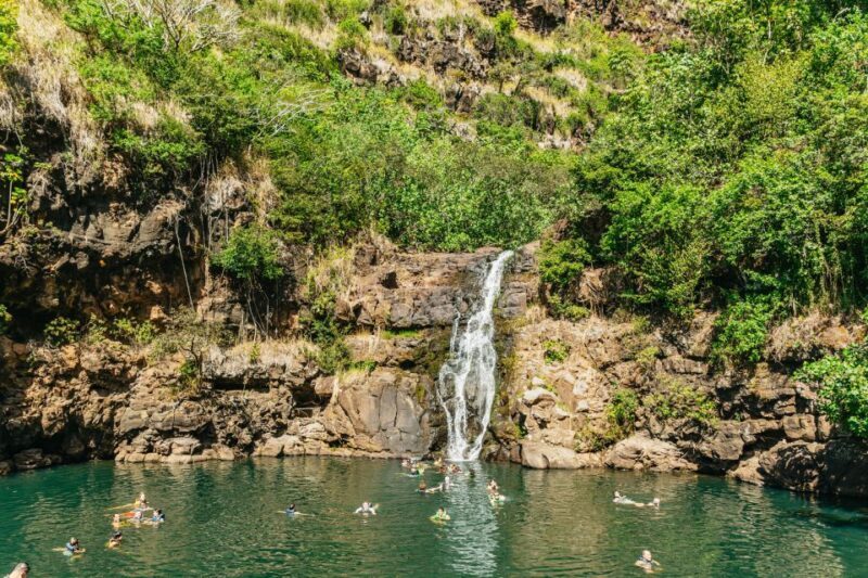 Oahu: Circle Island Tour with Lunch & Waimea Waterfall - FAQ – Quick Answers to Common Questions