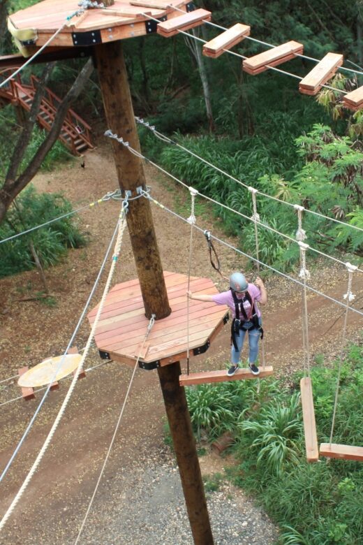 Oahu: Coral Crater Aerial Challenge Course - Key Points