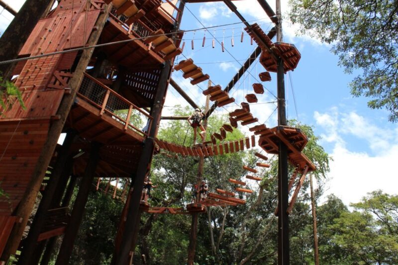 Oahu: Coral Crater Aerial Challenge Course - Discovering Coral Crater: An Authentic Hawaiian Adventure