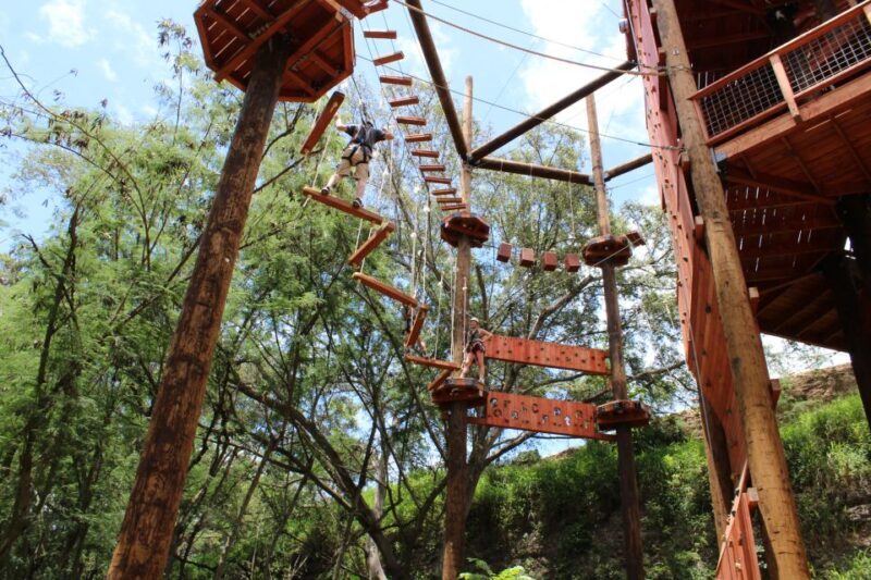 Oahu: Coral Crater Aerial Challenge Course - Who Will Love This Experience?