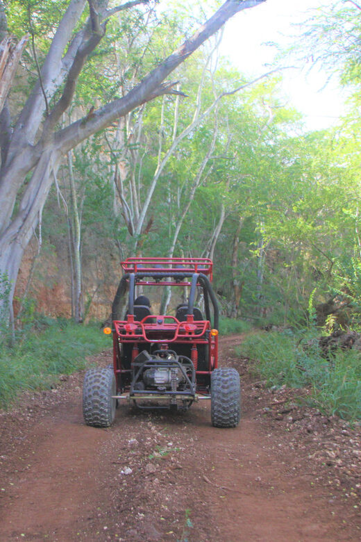 Oahu: Coral Crater Zipline and Offroad ATV Adventure - An In-Depth Look at the Coral Crater Experience