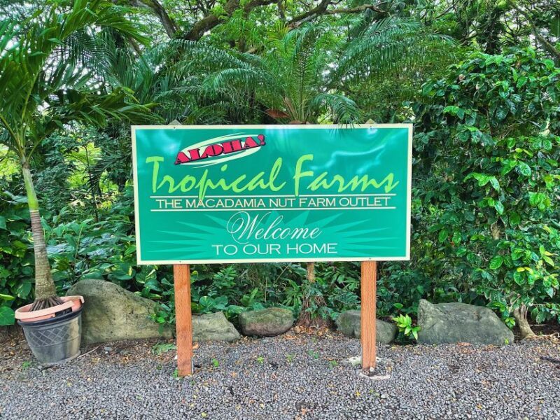 Oahu: Diamond Head Crater Hike and North Shore Experience - Final Thoughts