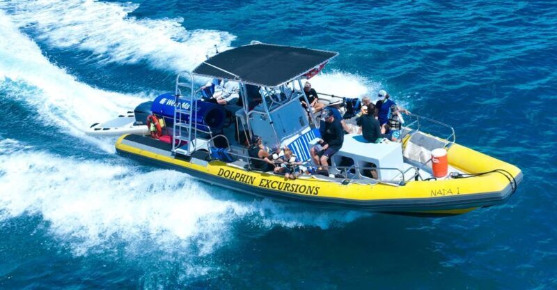 Oahu: Dolphin Swim and Turtle Snorkel Excursion in Waianae - Breakdown of the Day: The Itinerary in Detail