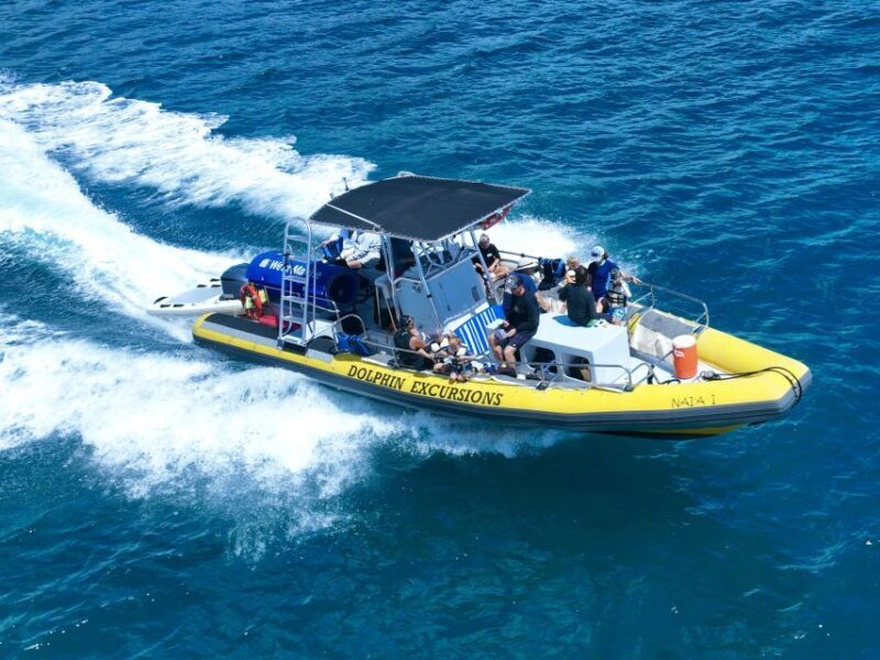 Oahu: Dolphin Swim and Turtle Snorkel Excursion in Waianae - FAQ