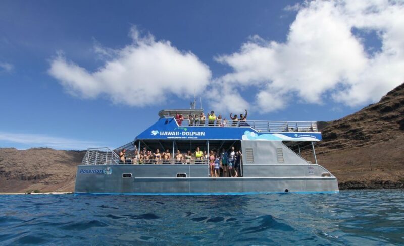 Oahu Dolphin Watch, Turtle Snorkel, Waterslide Activities - FAQs