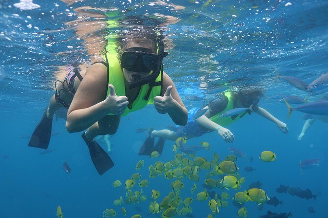 Oahu Dolphin Watch with Turtle Snorkel & Water Slide - Value and Pricing