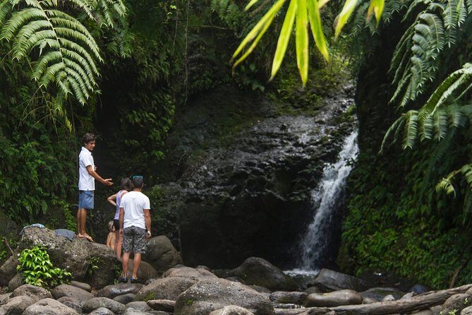 Oahu friendly hiking experience - Discovering the Oahu Friendly Hiking Experience: An Honest Look