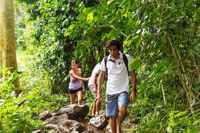 Oahu friendly hiking experience - Key Points