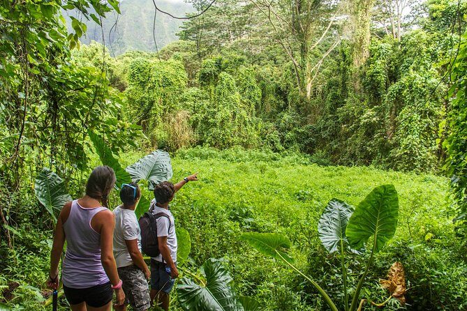 Oahu friendly hiking experience - Final Thoughts