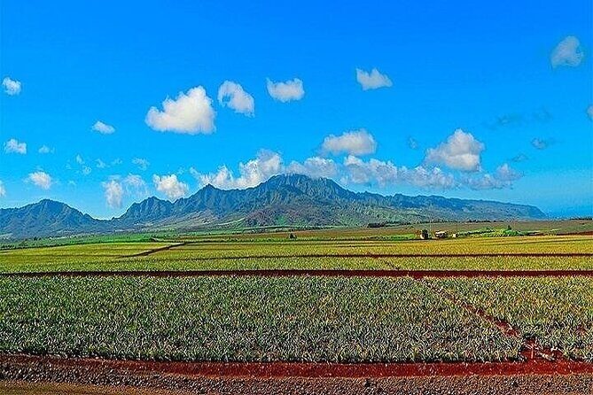 Oahu Grand Circle Island Experience Departing from Kauai - An In-Depth Look at the Oahu Grand Circle Island Tour