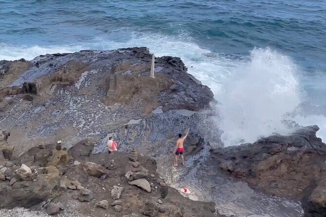 Oahu Guided Circle Island Tour, Swim w/ Turtles, Dole, Blowhole - The Itinerary: What to Expect at Each Stop