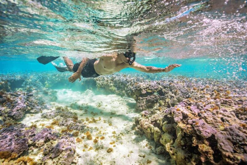 Oahu : Hanauma Bay Admission Ticket+Equipment Rental - Who Will Love This Experience?