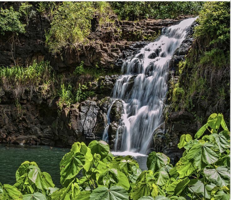 Oahu Hidden Gems & Waimea Botanical Garden/Waterfall tour - Key Points