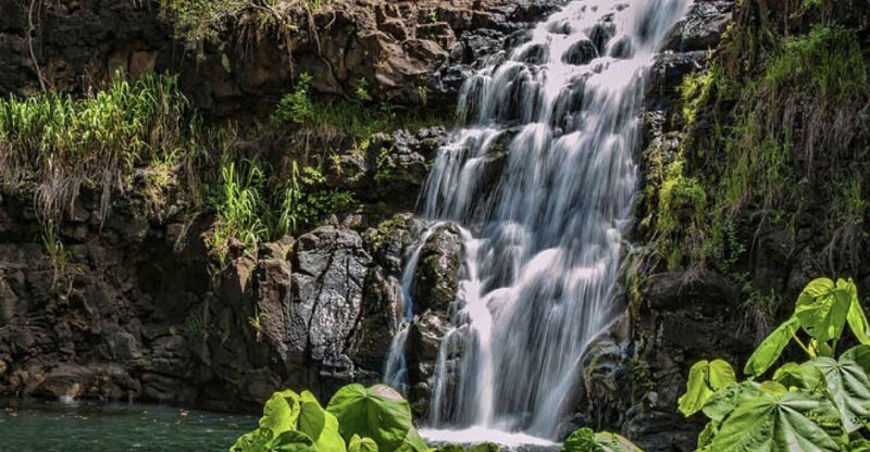 Oahu Hidden Gems & Waimea Botanical Garden/Waterfall tour - A Practical Overview of the Tour Experience