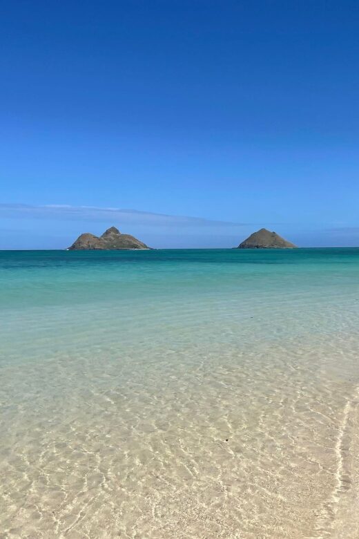 Oahu: Hidden Hawaii Waterfall Hike and Beach Tour - Detailed Breakdown of the Itinerary