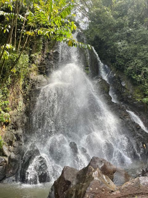 Oahu: Hidden Hawaii Waterfall Hike and Beach Tour - The Authentic Experience and Who Will Love This?