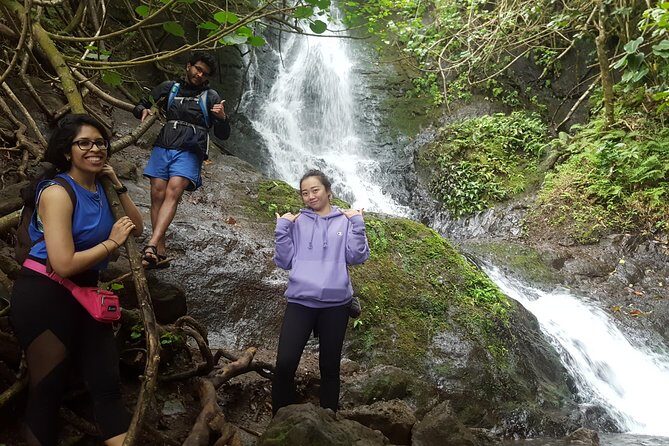 Oahu Hidden Waterfall Hike: A Tropical Paradise Adventure - An In-Depth Look at the Experience