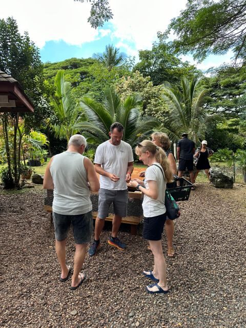 Oahu: Highlights of Oahu Small Group Tour - Frequently Asked Questions